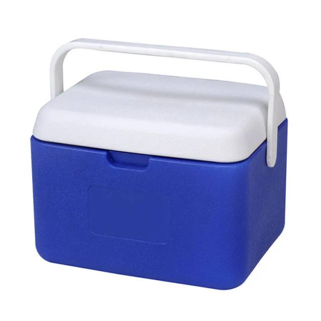 Karisma Cooler Box 5L